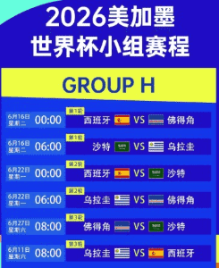 中国球迷赴美观赛